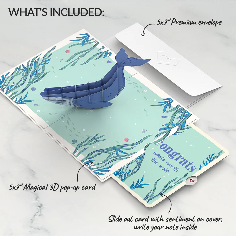 Whale Beneath the Waves Congratulations Pop-Up Card and Sentiment Set