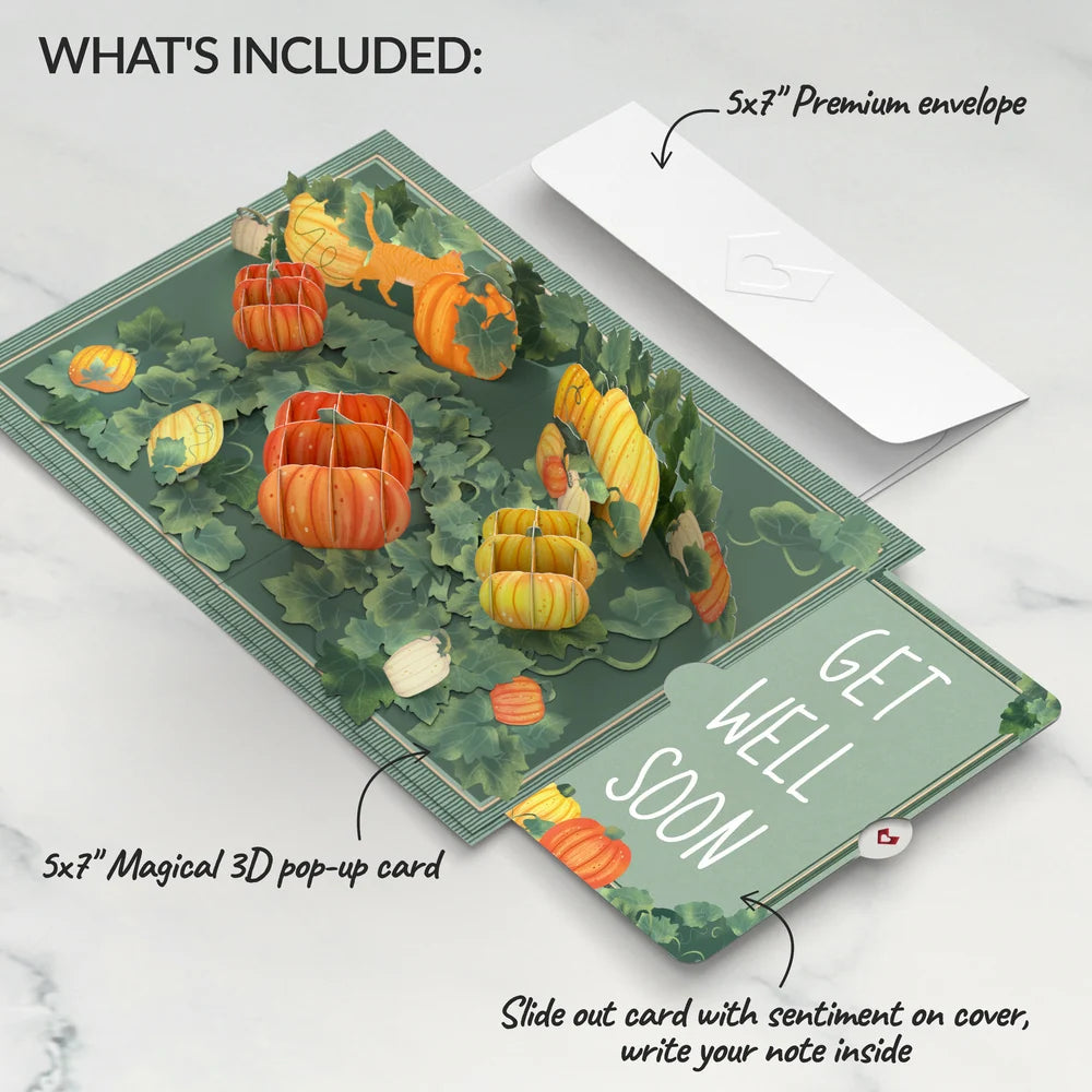 Happy Fall Pumpkin Patch Get Well Pop-Up Card and Sentiment Set