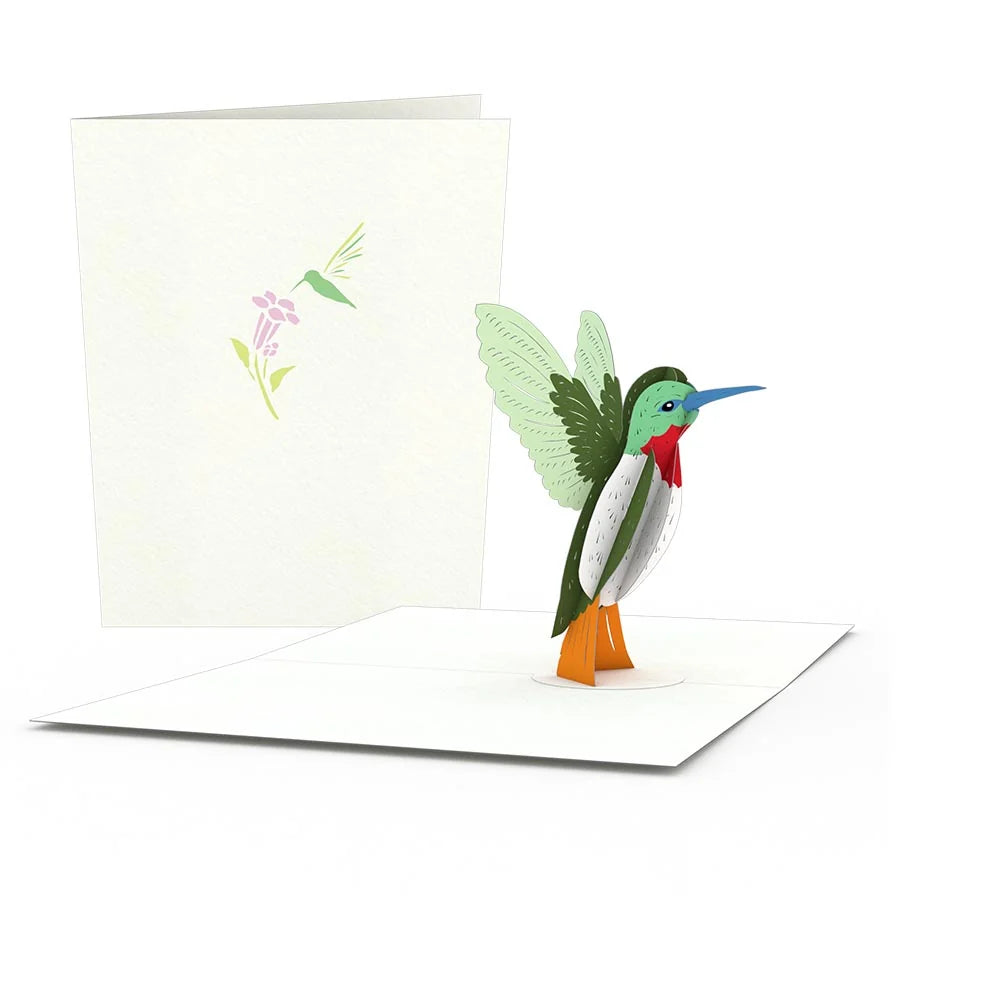 Hummingbird Notecards (4-Pack)