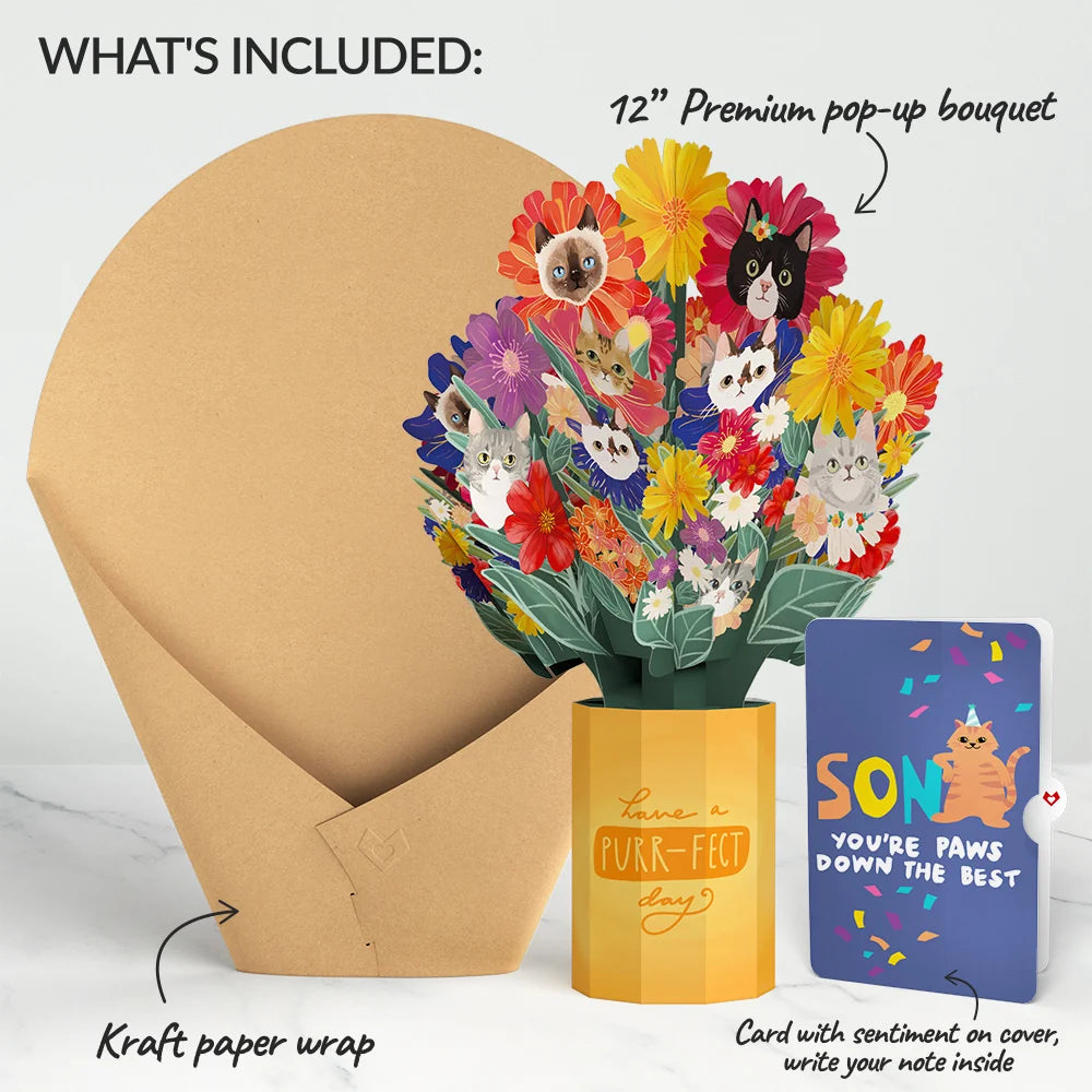 Purr-fect Cat Birthday Bouquet and Sentiment Set for Son