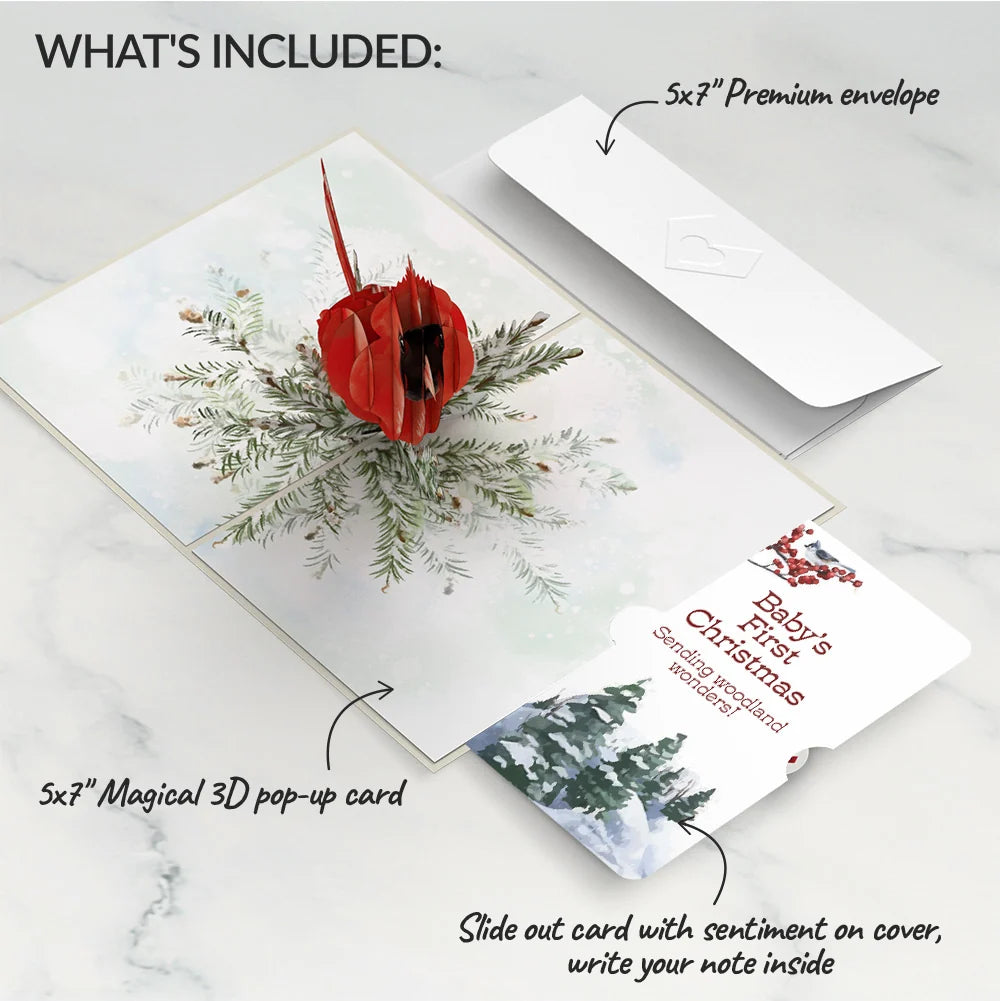Winter Cardinal First Christmas Pop-Up Card and Sentiment Set for Baby