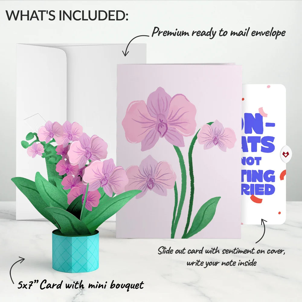 Orchid Breakup Card with Mini Bouquet and Playful Confetti Sentiment Set