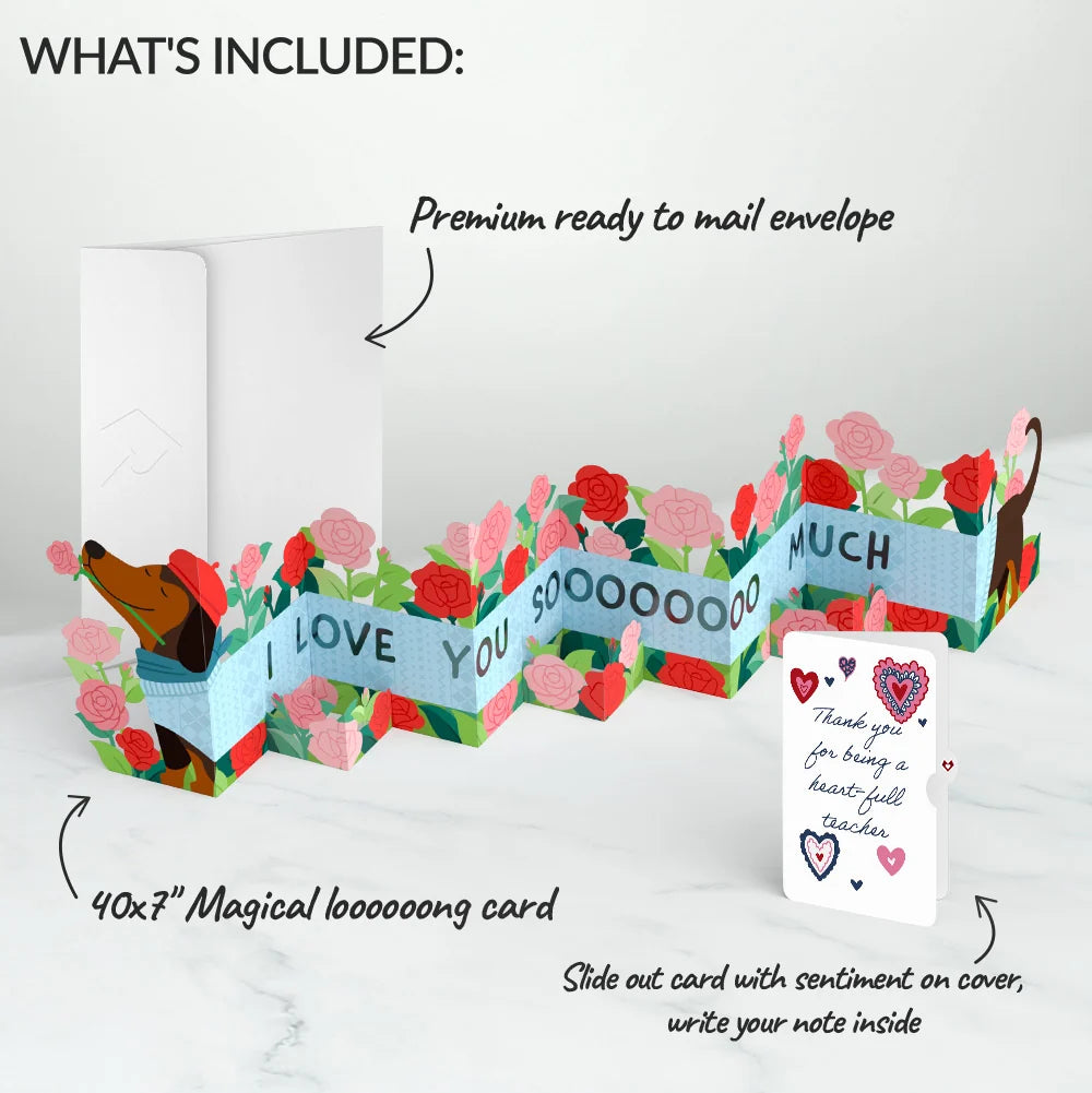 Love You So Much Dog Thank You Loooooong Card™ (Expands to 2 feet) and Sentiment Set for Teacher