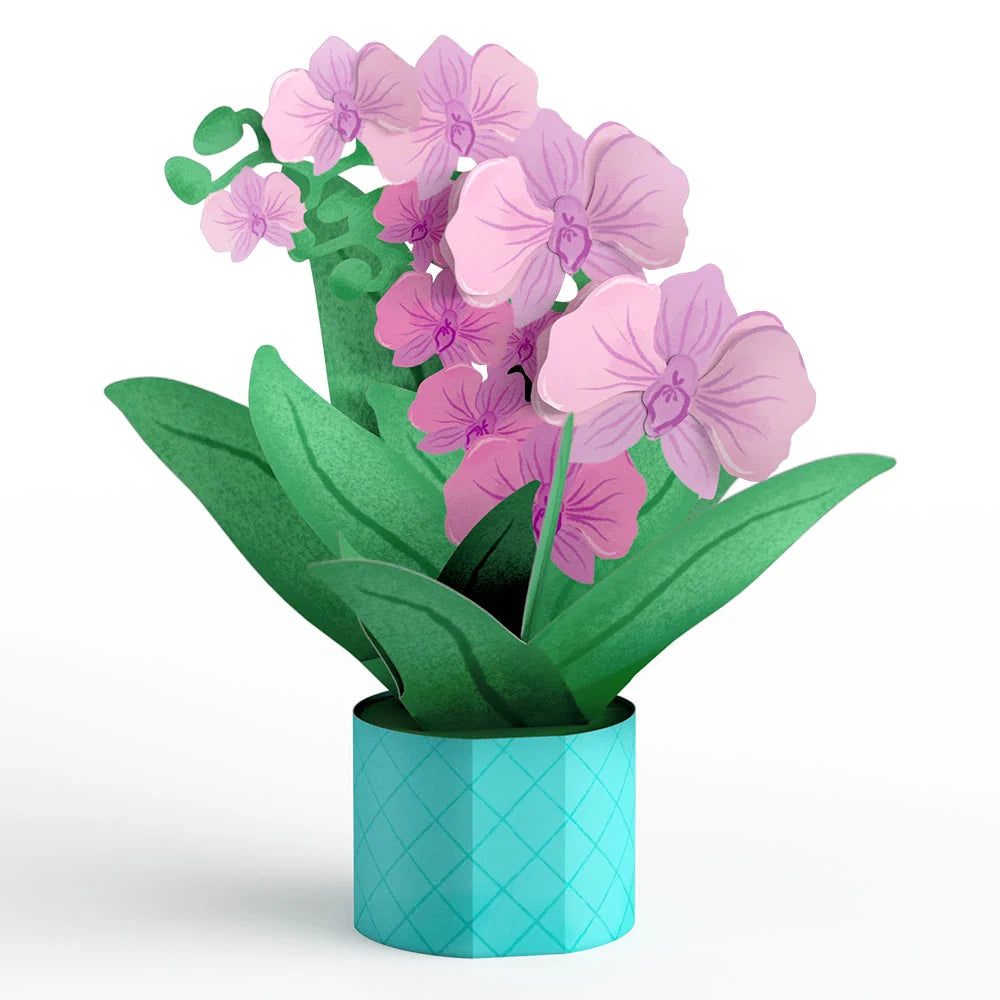 Orchid Card with Mini Bouquet