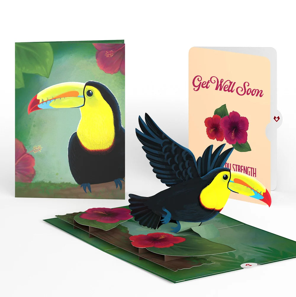 Rainforest Toucan Get Well Soon Pop-Up Card and Hibiscus Sentiment Set
