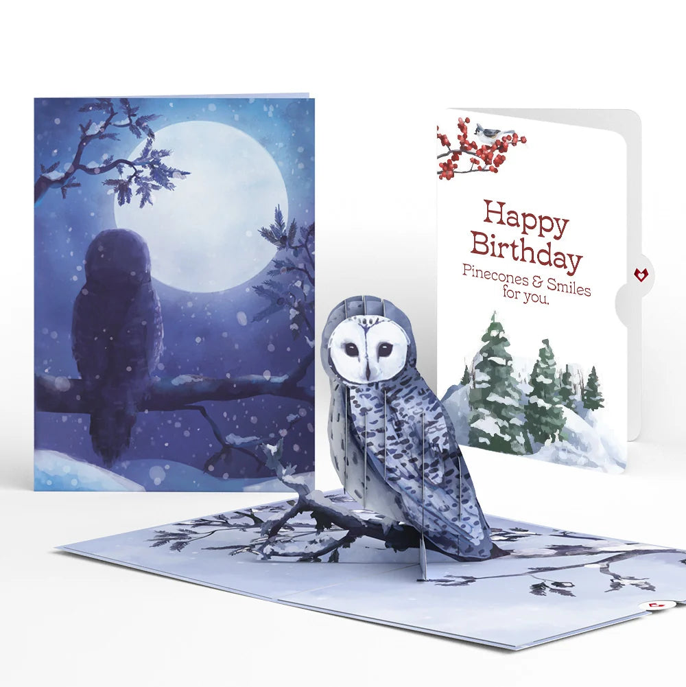Snowy Owl Birthday Pop-Up Card and Sentiment Set
