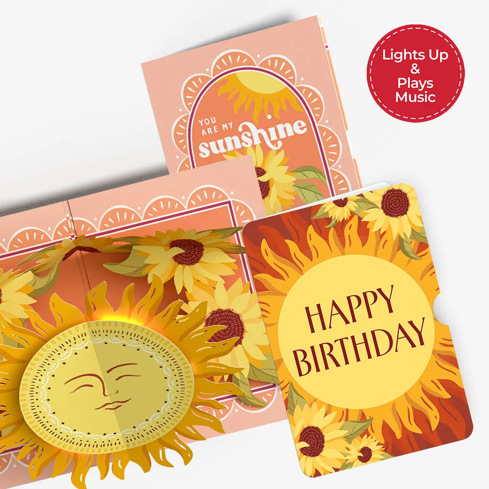 You Are My Sunshine Birthday Music and Lights Pop-Up Card and Sentiment Set