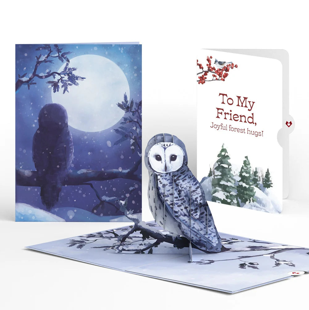 Snowy Owl Winter Pop-Up Card and Sentiment Set for Friend